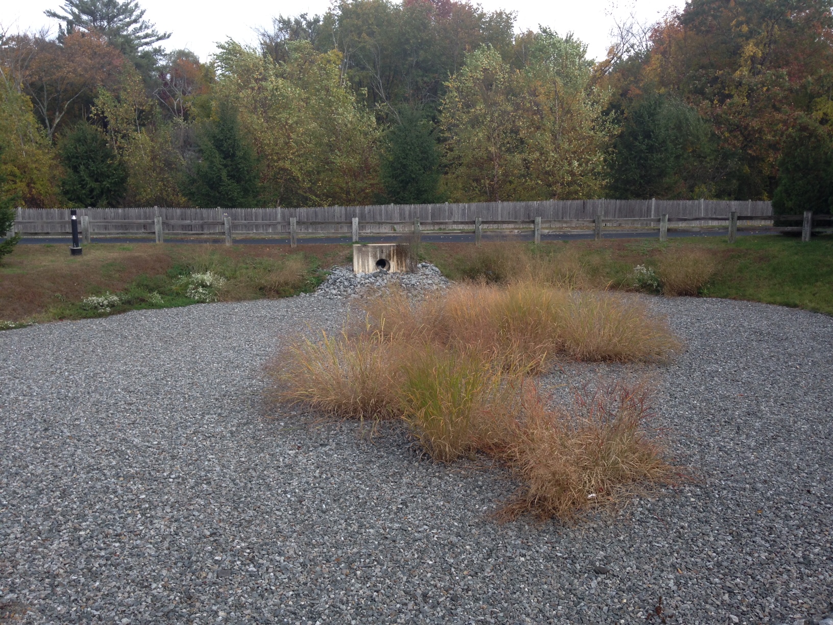 Image of Extended Dry Detention Basin