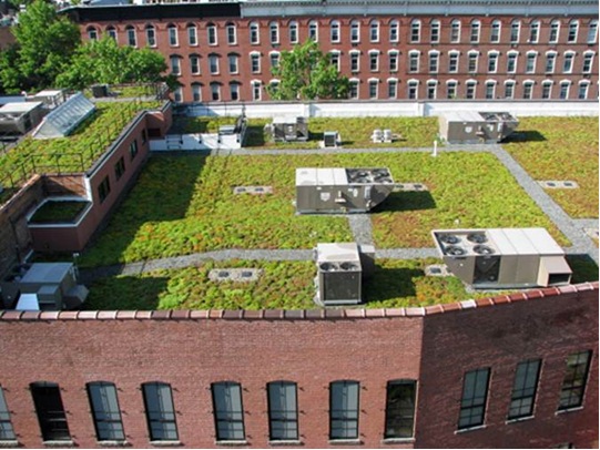 green roofs seattle