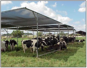 Image of livestock shade structure