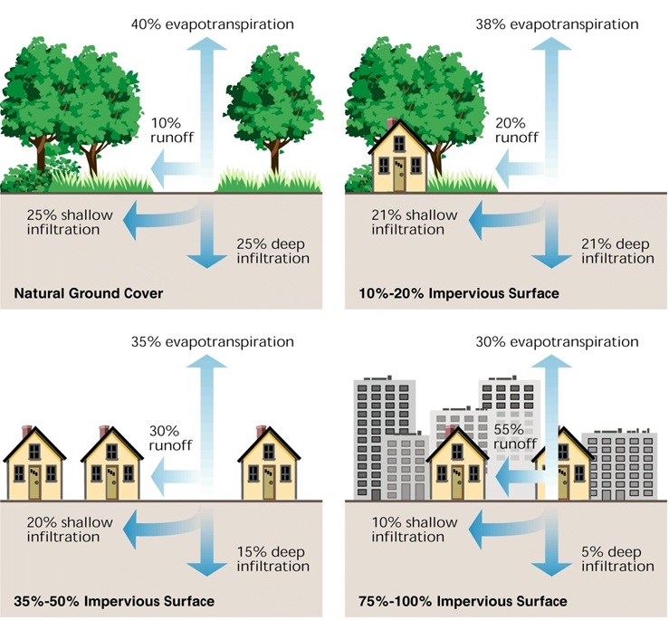 Landscape Design Water Runoff Diagram Stormwater Management