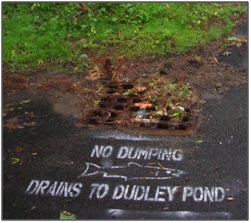 Image of a storm drain with marking