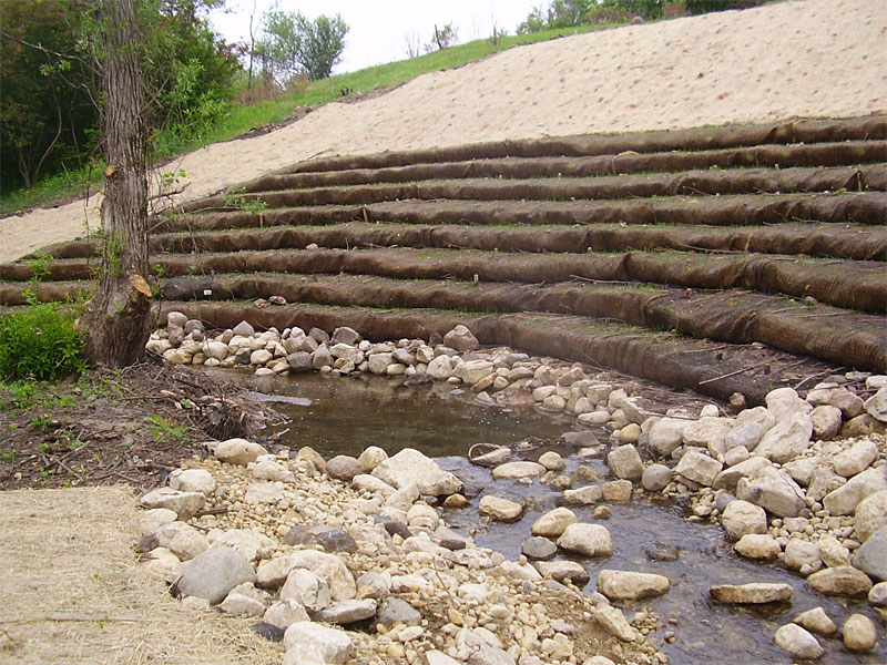 Image of vegetated geogrids